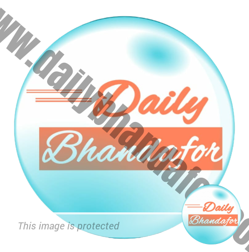 Dailybhandafor.com